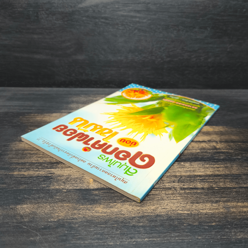 สมุนไพรดอกคำฝอย ย่อยไขมัน