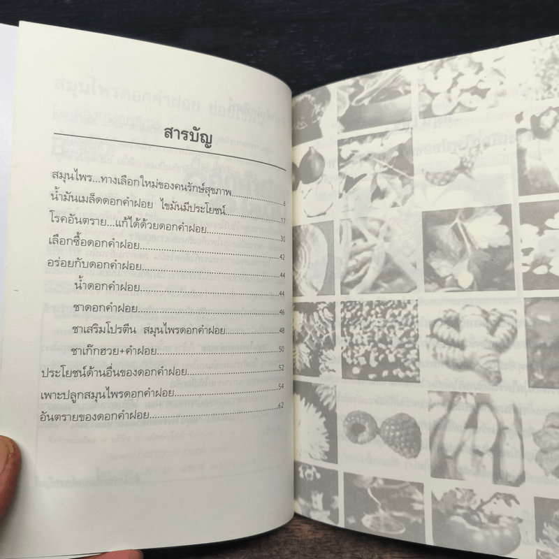 สมุนไพรดอกคำฝอย ย่อยไขมัน