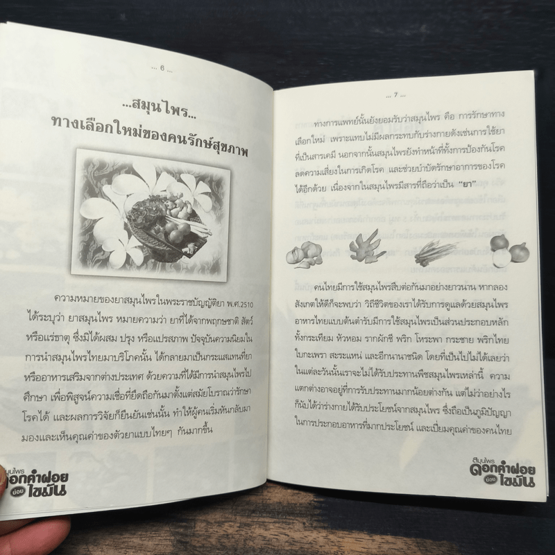 สมุนไพรดอกคำฝอย ย่อยไขมัน