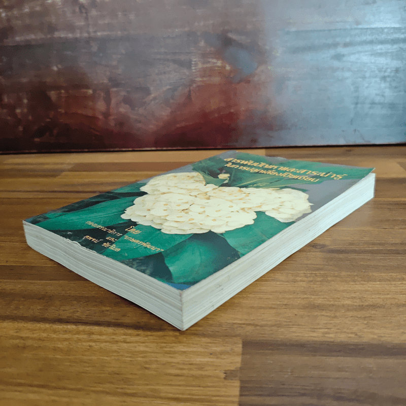 สารพันปัญหาและสาระน่ารู้ ในการปลูกเลี้ยงโป๊ยเซียน