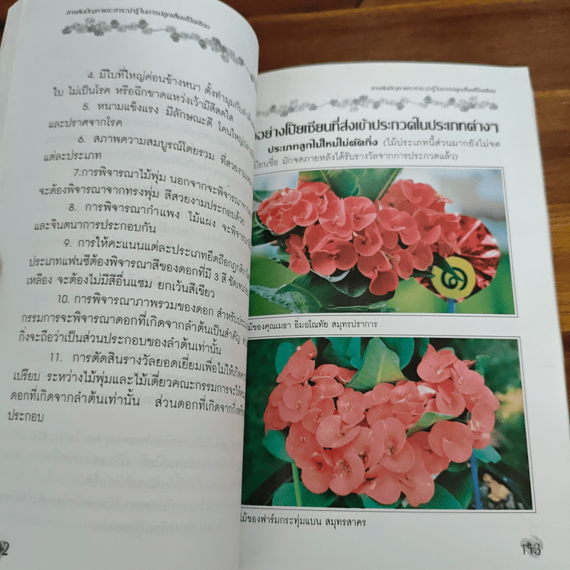 สารพันปัญหาและสาระน่ารู้ ในการปลูกเลี้ยงโป๊ยเซียน