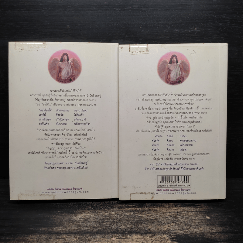 เทวปักษี 2 เล่มจบ - ลักษณวดี