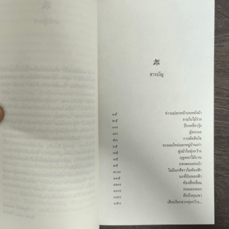 ทุ่งหญ้าสีน้ำเงิน - พิบูลศักดิ์ ละครพล