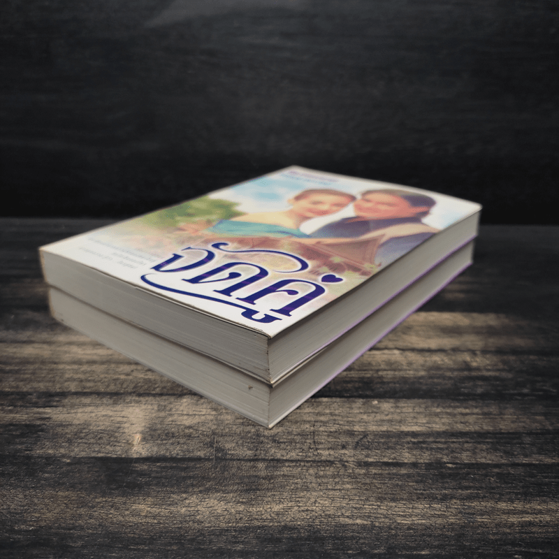 จัดคู่ 2 เล่มจบ - ศรีทอง ลดาวัลย์