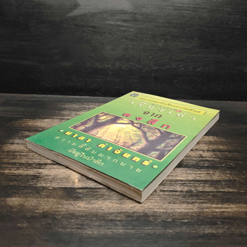 เรื่องเล่าจากดงลึก - มาลา คำจันทร์