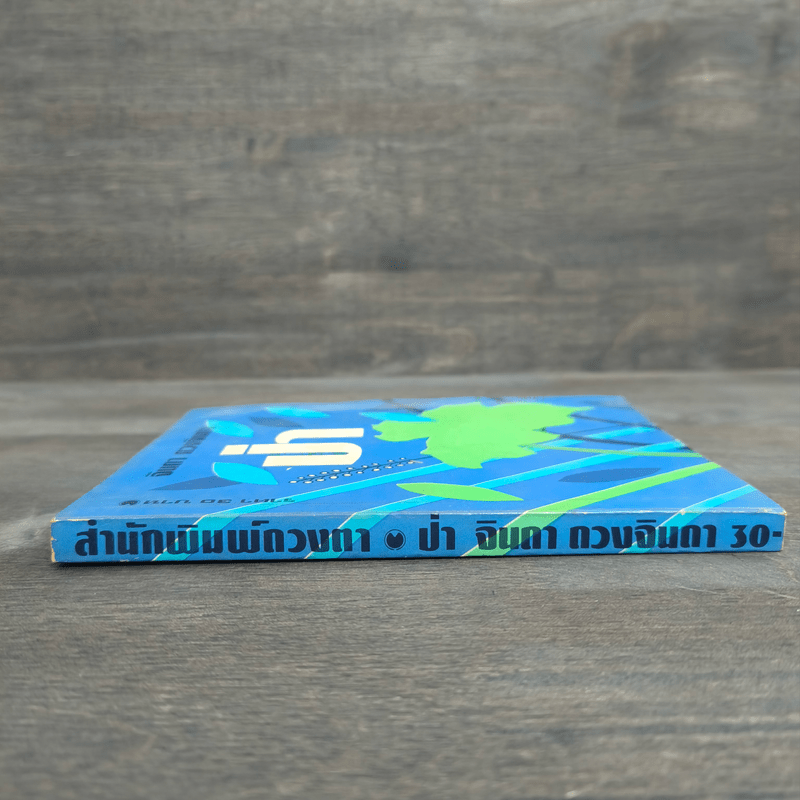 ป่า - จินดา ดวงจินดา