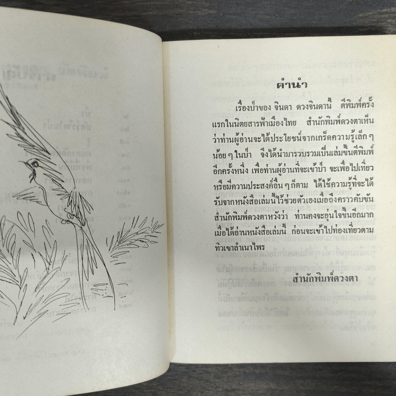 ป่า - จินดา ดวงจินดา