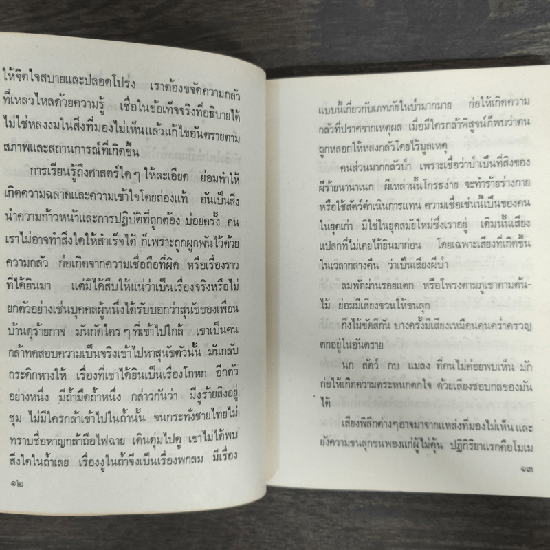 ป่า - จินดา ดวงจินดา