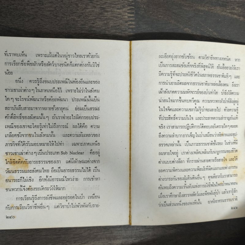 ป่า - จินดา ดวงจินดา