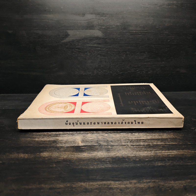 ปัจจุบันและอนาคตของสังคมไทย