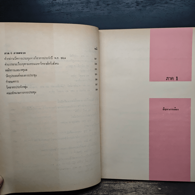 ปัจจุบันและอนาคตของสังคมไทย