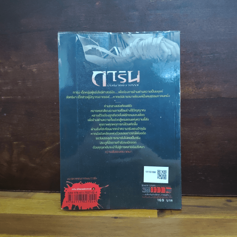 การิน ปริศนาคดีอาถรรพ์ ความลับของกระจกเงา