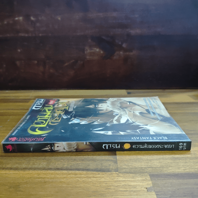 การิน ปริศนาคดีอาถรรพ์ ความลับของกระจกเงา