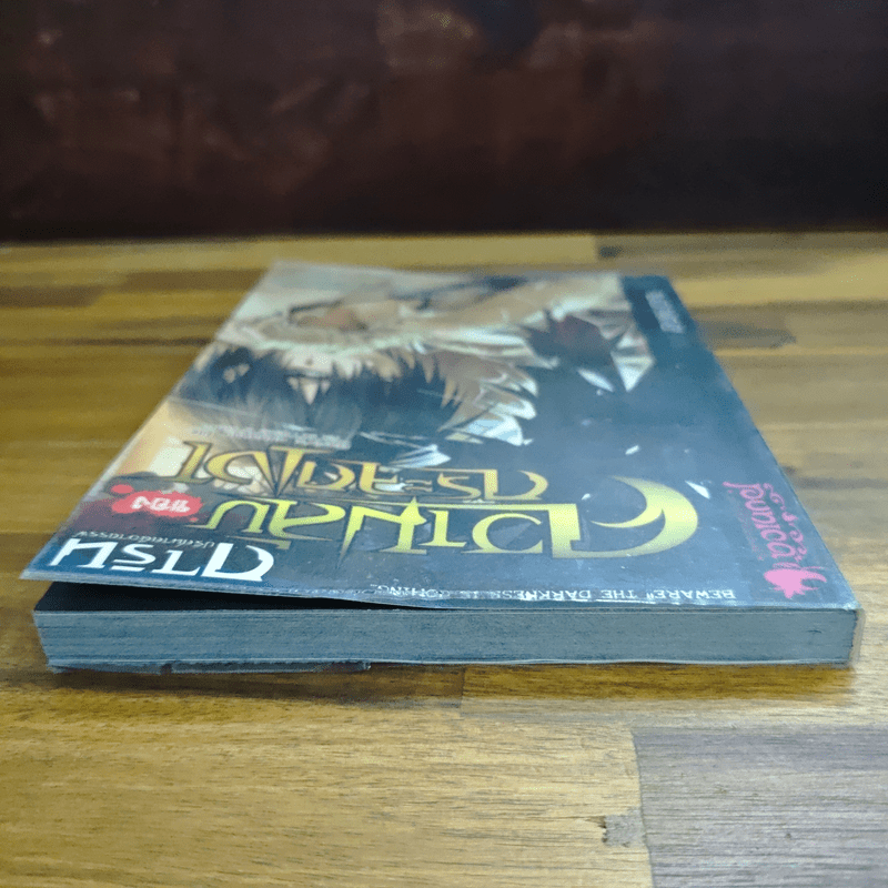 การิน ปริศนาคดีอาถรรพ์ ความลับของกระจกเงา