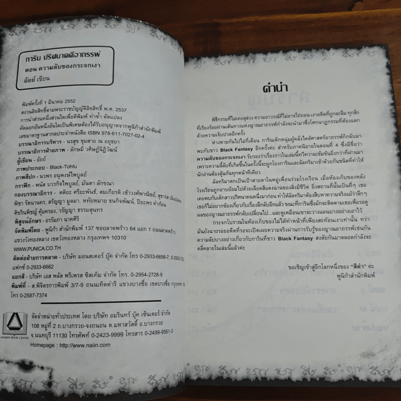 การิน ปริศนาคดีอาถรรพ์ ความลับของกระจกเงา