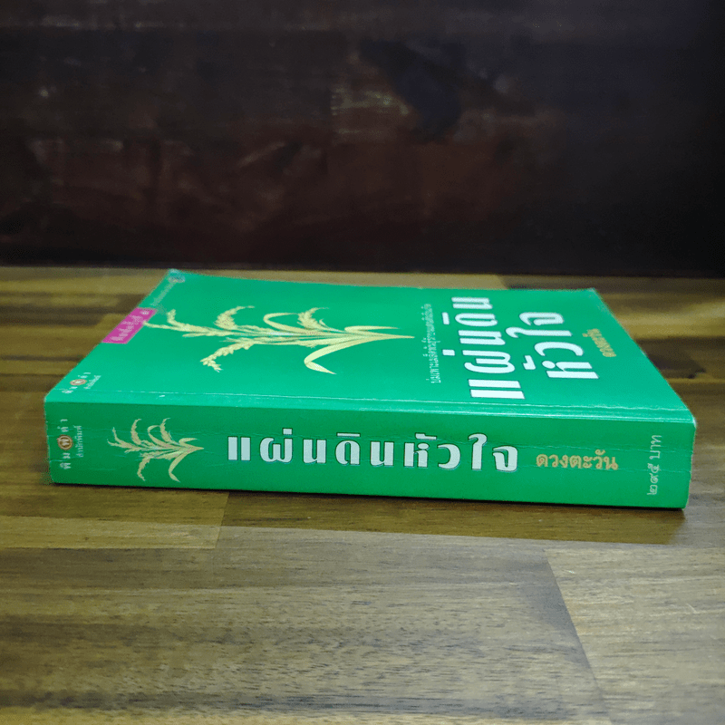 แผ่นดินหัวใจ - ดวงตะวัน