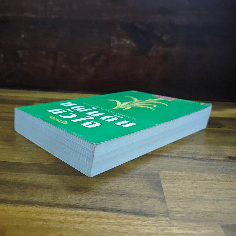 แผ่นดินหัวใจ - ดวงตะวัน