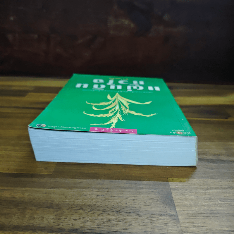 แผ่นดินหัวใจ - ดวงตะวัน