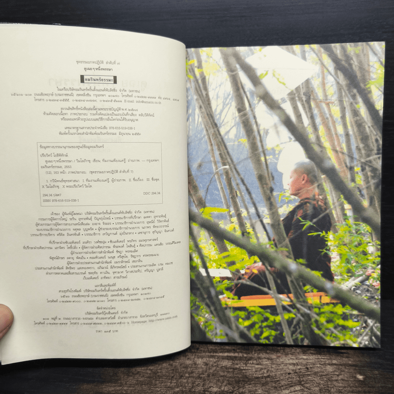 ดูเฉยๆหนึ่งพรรษา - วิมโลภิกขุ