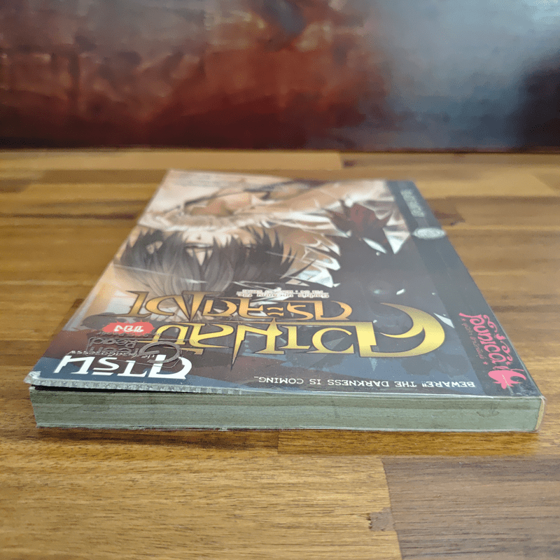 การิน ปริศนาคดีอาถรรพ์ ความลับของกระจกเงา