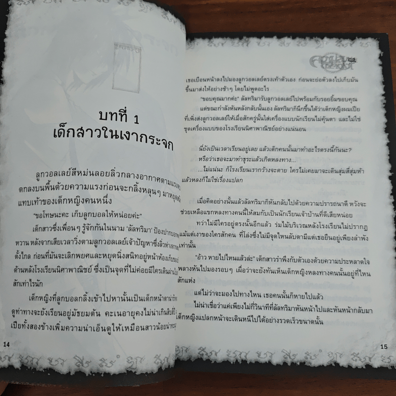 การิน ปริศนาคดีอาถรรพ์ ความลับของกระจกเงา