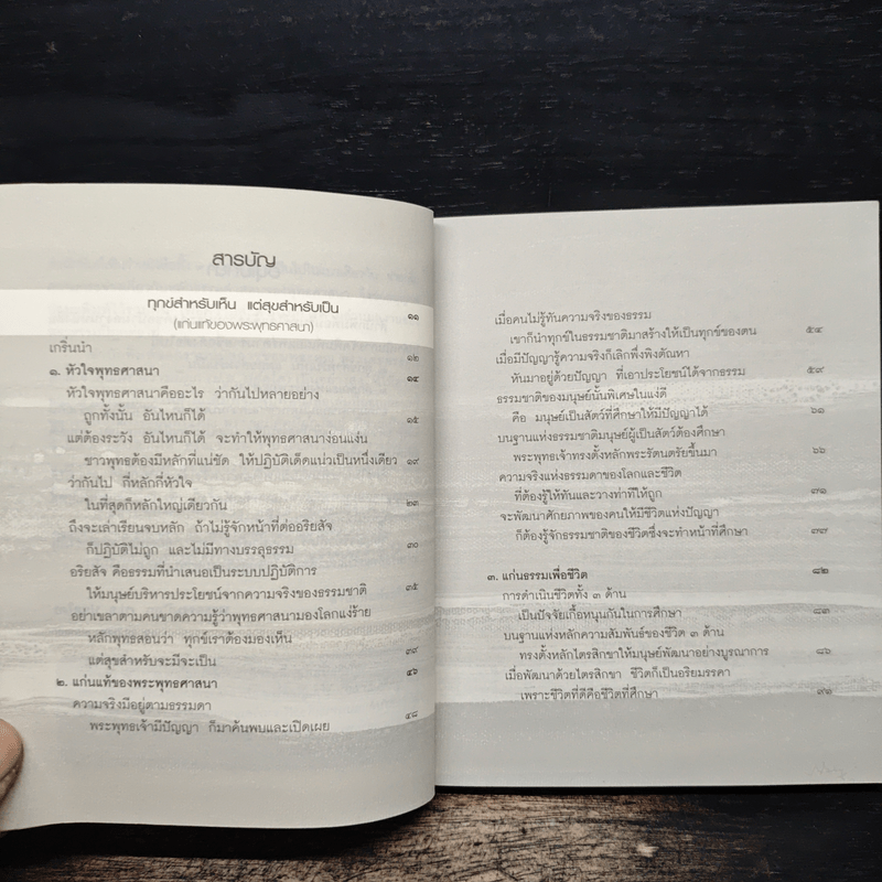 ทุกข์สำหรับเห็น แต่สุขสำหรับเป็น - พระพรหมคุณาภรณ์ (ป.อ.ปยุตโต)