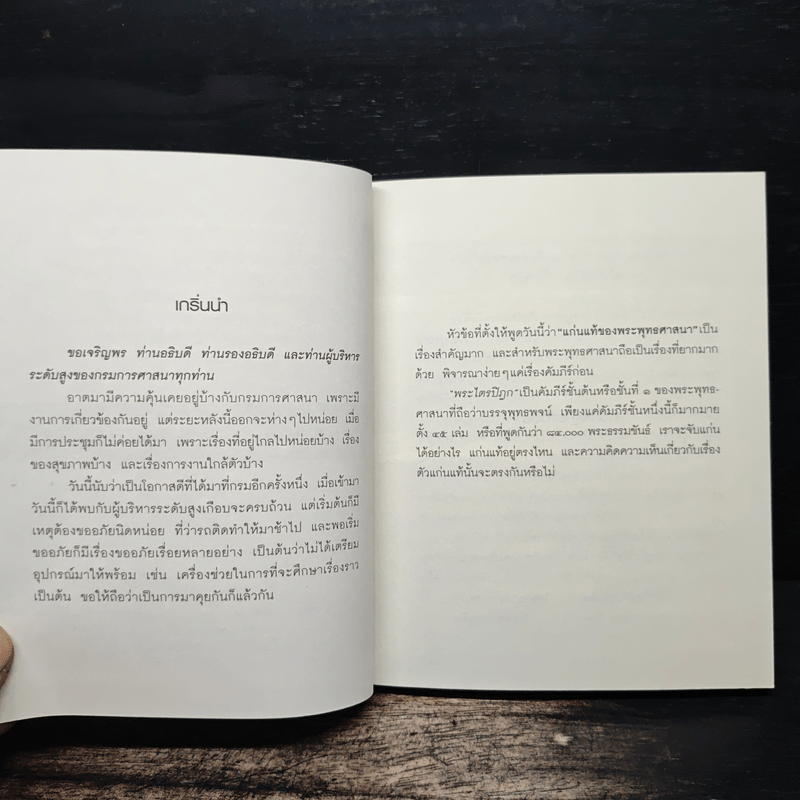 ทุกข์สำหรับเห็น แต่สุขสำหรับเป็น - พระพรหมคุณาภรณ์ (ป.อ.ปยุตโต)