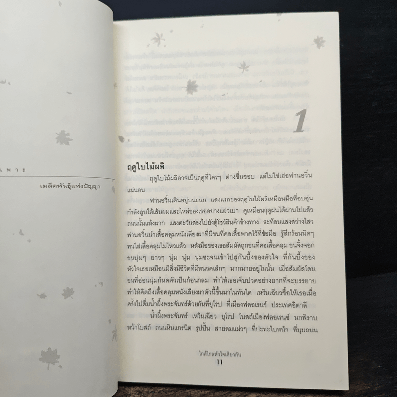 ใกล้ไกลหัวใจเดียวกัน - ฉวนเหยา