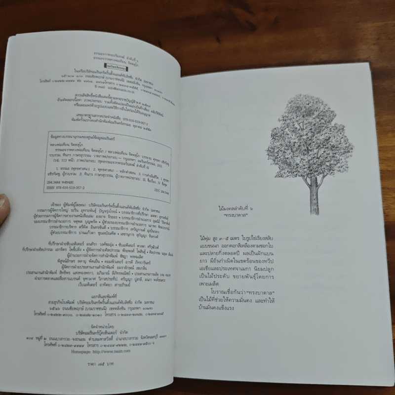 ธรรมะจาก หลวงพ่อเทียน จิตตสุโภ