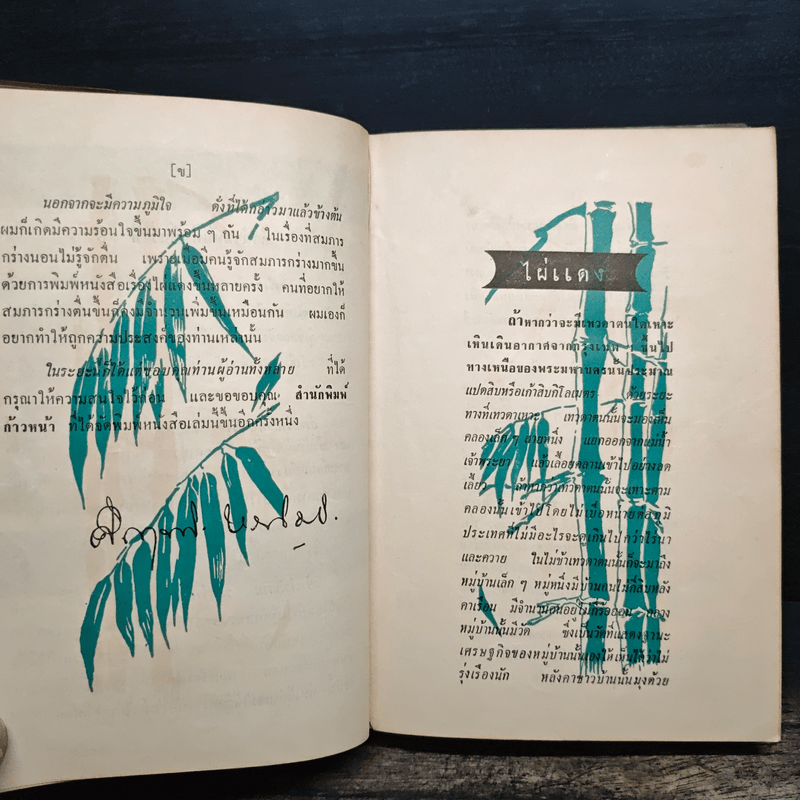 ไผ่แดง - ม.ร.ว.คึกฤทธิ์ ปราโมช