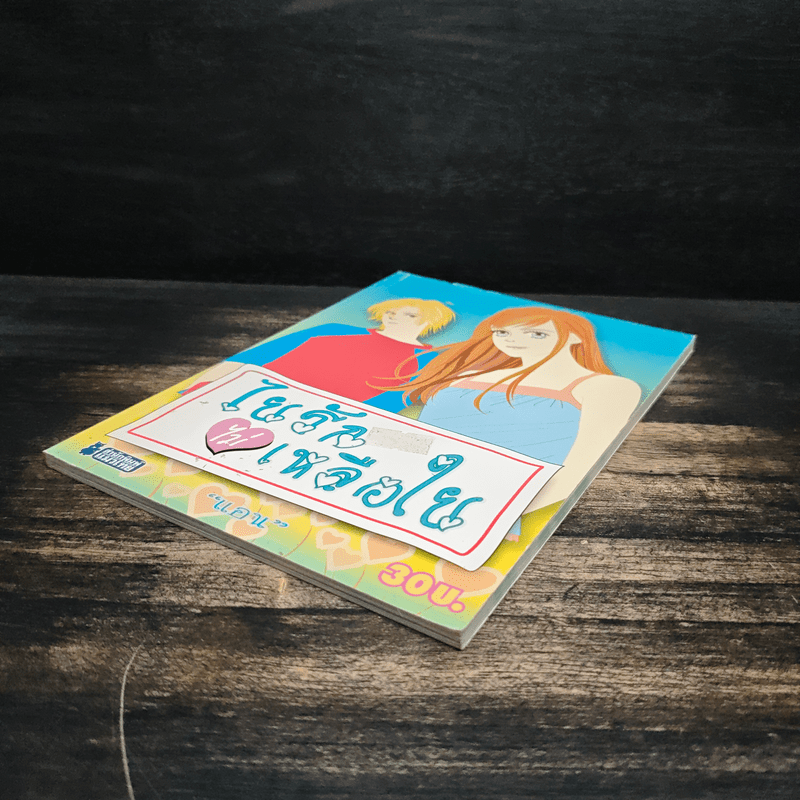 ใยรักไม่เหลือใย - แคน