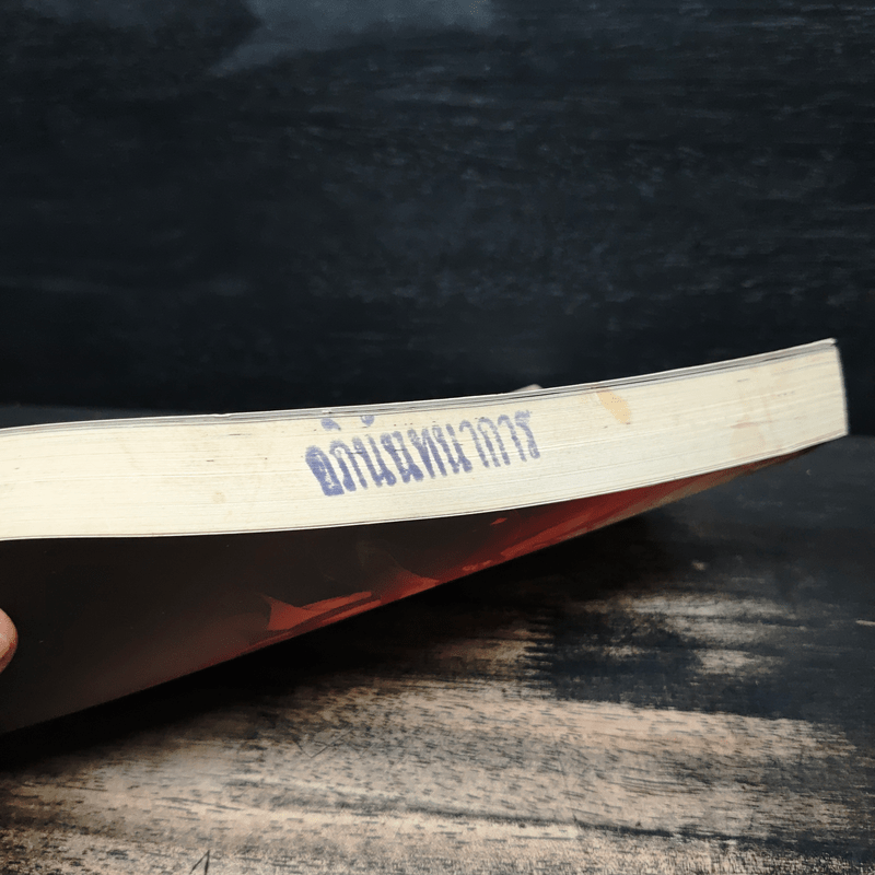 ศึกชิงบัลลังก์ ราชาโจรสลัด Adventure World - ลูกแมวขาวดำ