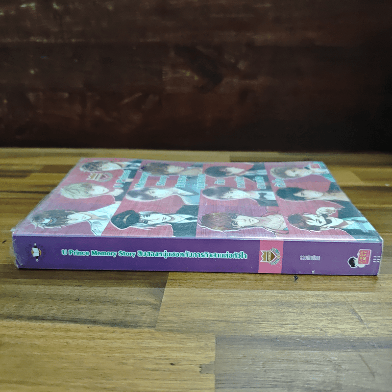 U-Prince Memory Story สิบสองหนุ่มฮอตกับภารกิจสานต่อหัวใจ