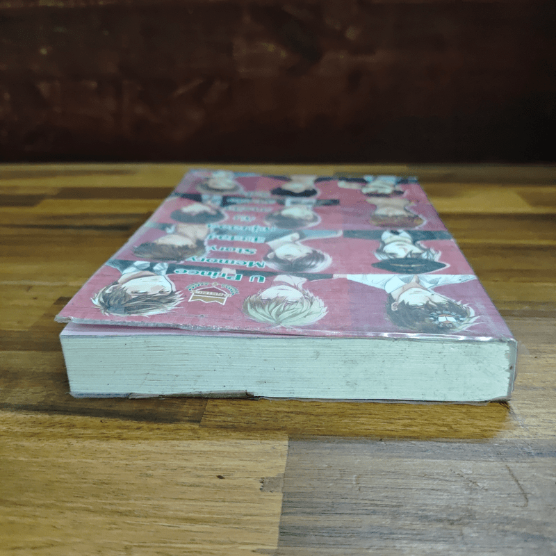 U-Prince Memory Story สิบสองหนุ่มฮอตกับภารกิจสานต่อหัวใจ