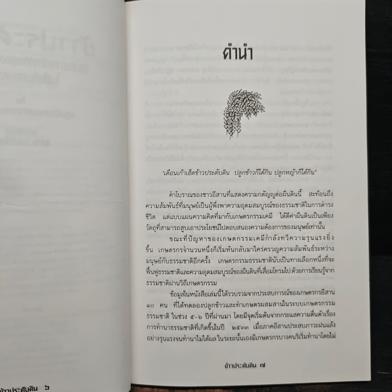 ข้าวประดับดิน - กลุ่มศึกษาเกษตรกรรมธรรมชาติ