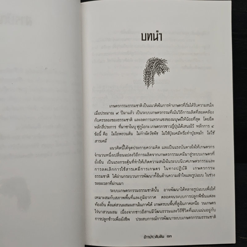ข้าวประดับดิน - กลุ่มศึกษาเกษตรกรรมธรรมชาติ