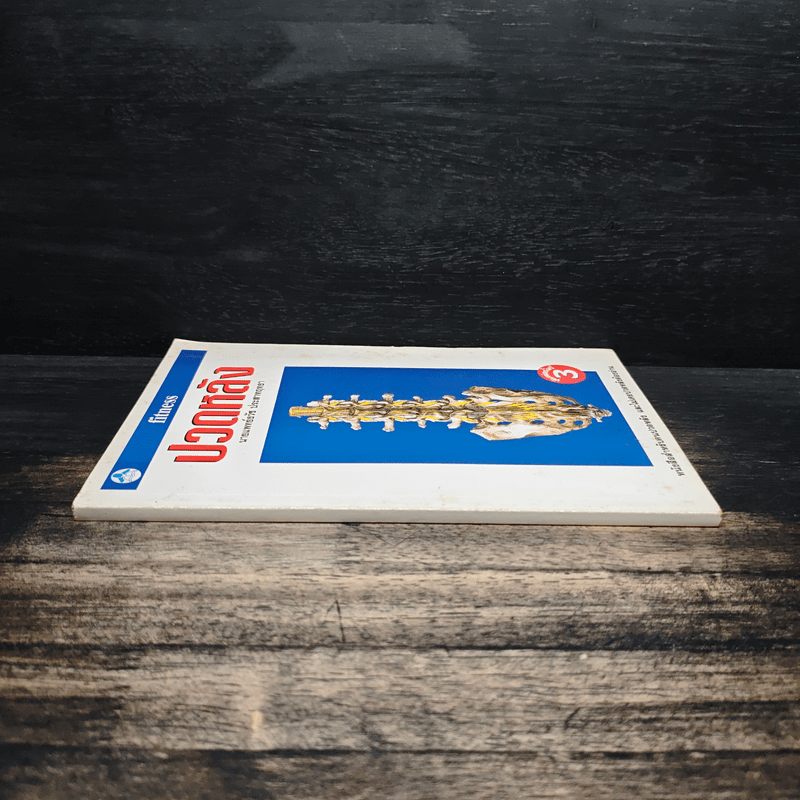 ปวดหลัง - นายแพทย์ธวัช ประสาทฤทธา