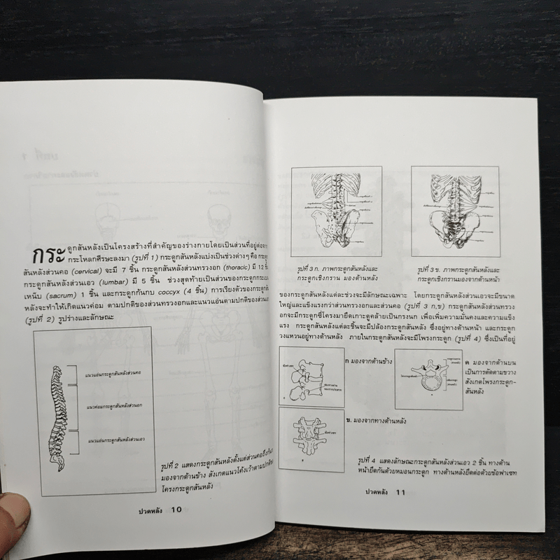 ปวดหลัง - นายแพทย์ธวัช ประสาทฤทธา