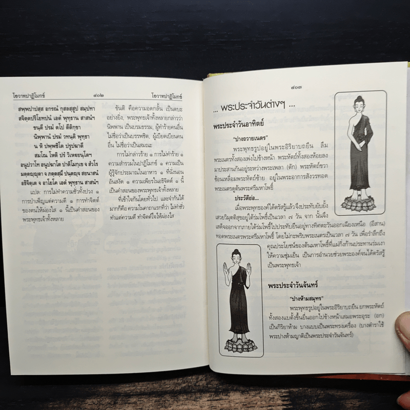 พจนานุกรม พระพุทธศาสนา ฉบับการ์ตูน