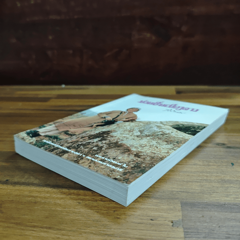 ม่วนซื่นเมืองลาว - สมเด็จพระกนิษฐาธิราชเจ้า กรด็จพระเทพรัตนราชสุดาฯ สยามบรมราชกุมารีมสมเ