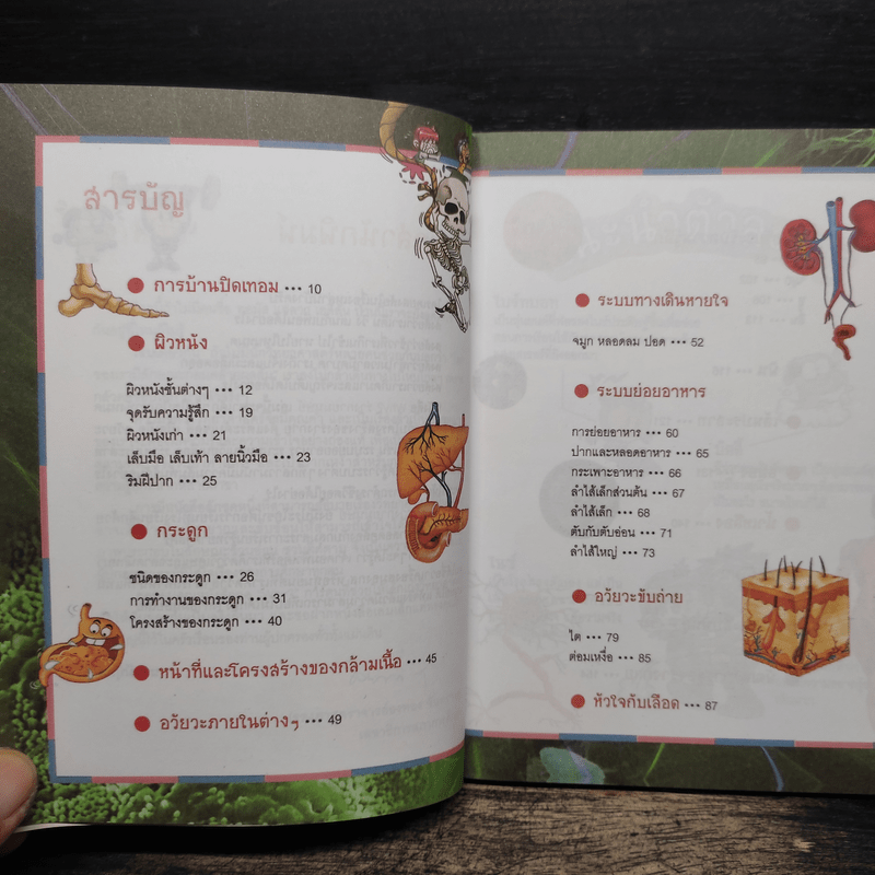 Why? ร่างกายมนุษย์