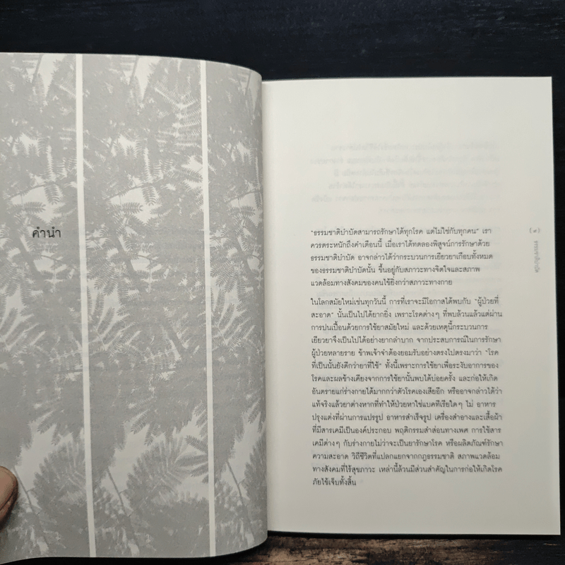 ธรรมชาติบำบัด ศิลปะการเยียวยาร่างกายและจิตใจเพื่อสมดุลของชีวิต