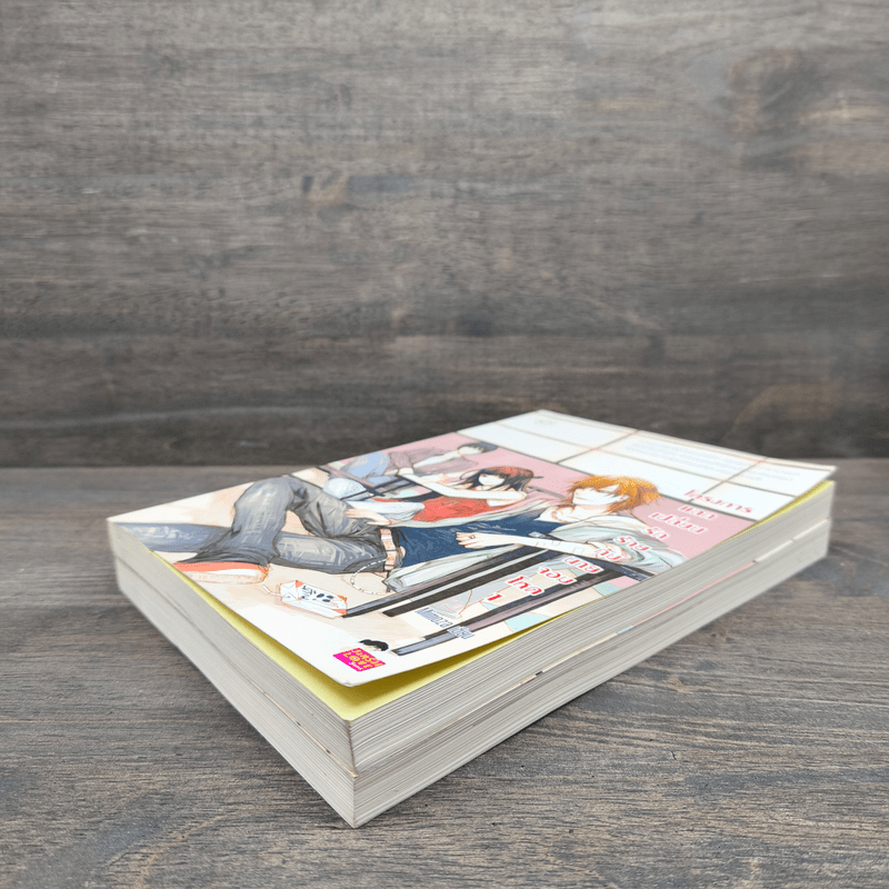 โครงการแลกเปลี่ยนรักร้ายกับนายจอมโหด 2 เล่มจบ - Mimoza