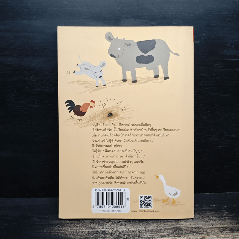 สีเทาเจ้าตัวจิ๋ว - รัศมี เบื่อขุนทด