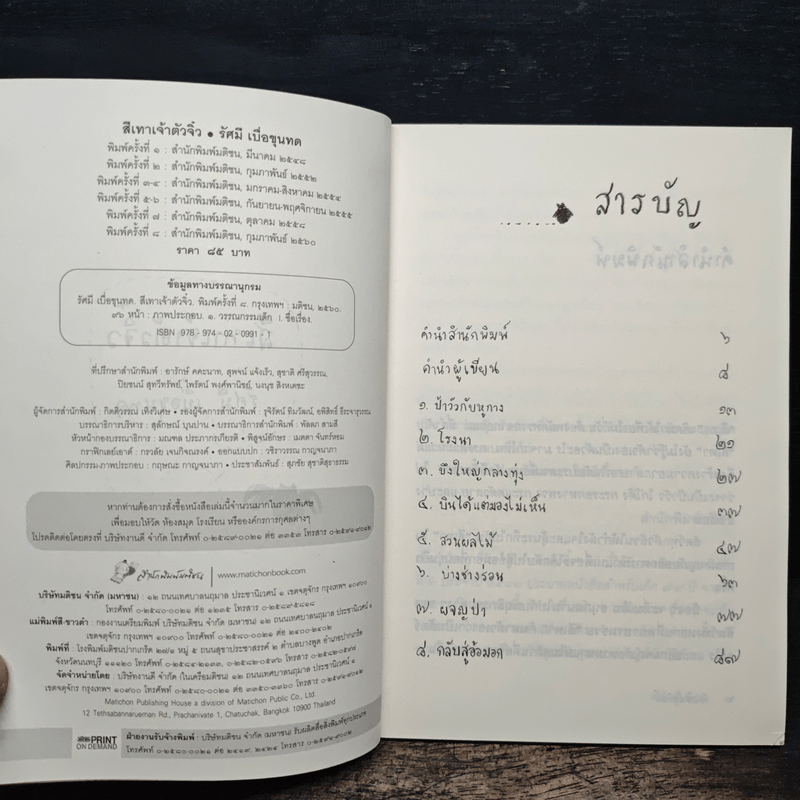 สีเทาเจ้าตัวจิ๋ว - รัศมี เบื่อขุนทด