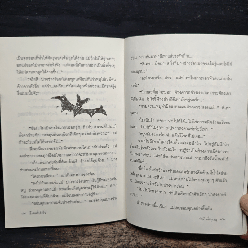 สีเทาเจ้าตัวจิ๋ว - รัศมี เบื่อขุนทด