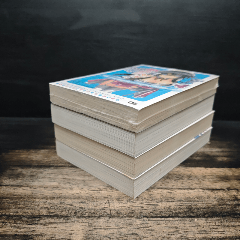 ถามหน่อยครับคิดว่าเจ้าสาวผมในเกมออนไลน์เป็นผู้หญิงจริงรึเปล่า? เล่ม 1-4