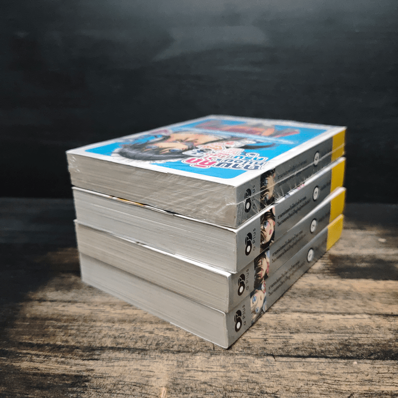 ถามหน่อยครับคิดว่าเจ้าสาวผมในเกมออนไลน์เป็นผู้หญิงจริงรึเปล่า? เล่ม 1-4