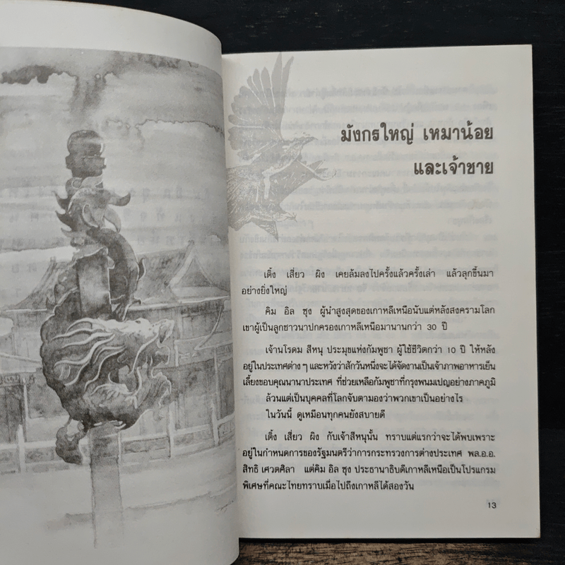 บินตามตะวัน - นิรมล เมธีสุวกุล