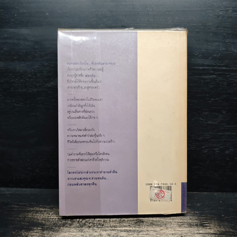 ขอหมอนใบนั้น...ที่เธอฝันยามหนุน - ประภัสสร เสวิกุล